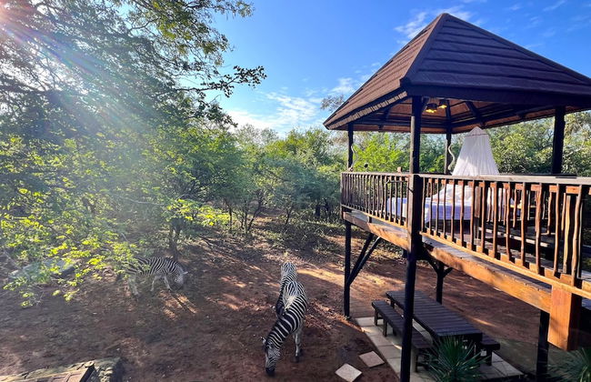 Kruger Kumba - Mugwenzi - Photo 64