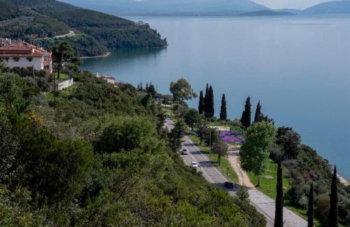 AZURE home - Foto 23