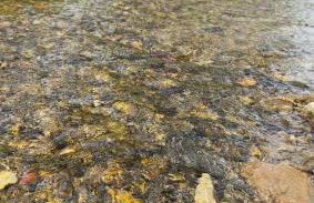 Escape to Nature - Dolac Franić - Foto 22