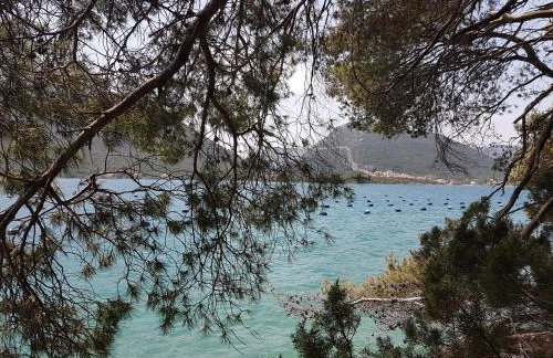 Villa Paradise Garden - Foto 44