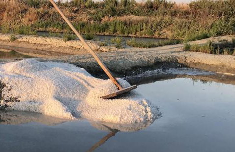 Maison pour 10, accès direct à la plage - Foto 19