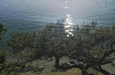 Studio Apartman Karlita - Foto 22