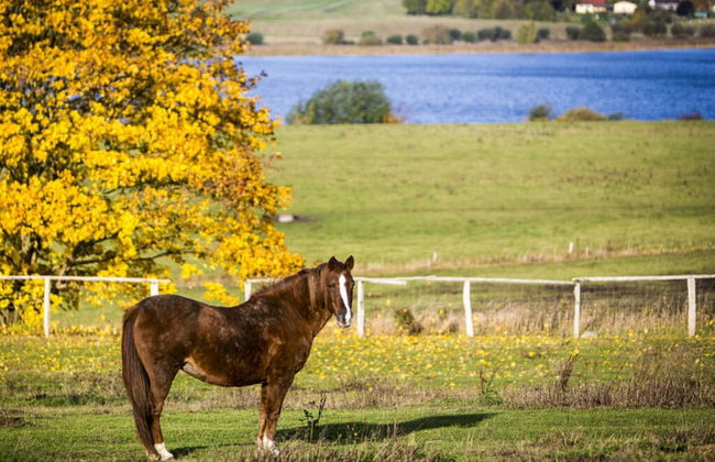 Courtyard View - Manor by the Lake - Photo 15