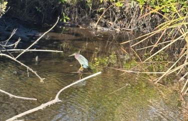 Cardinal vacations - Foto 8