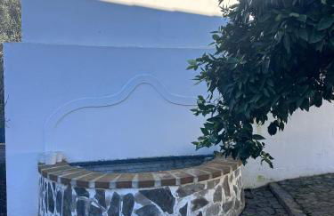 Wine under the Stars - Foto 10