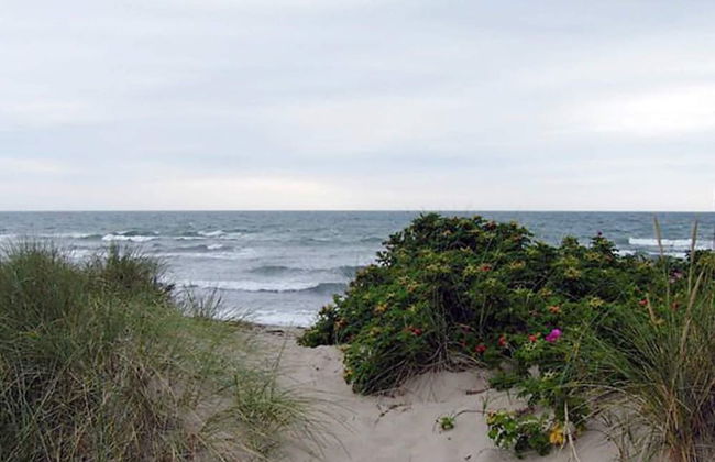 Cozy Holiday Home in Graested near Sea - Photo 38