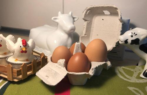 Hen-Coop Inn Appartement mit zwei Schlafzimmern & Netflix - Photo 11