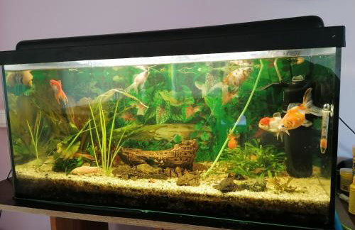 Mazurska Knieja - Foto 21