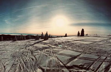 Landhotel und Apartments Sonneck - Photo 49