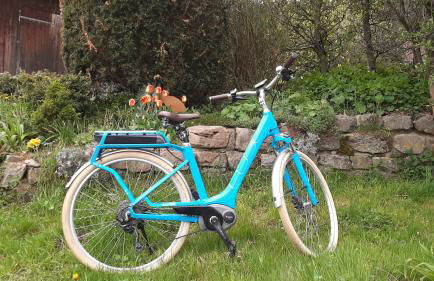 Schwarzwaldblick - Foto 9