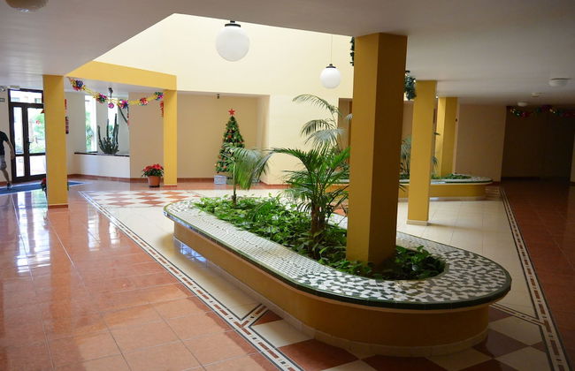 Olivia Sunbeach - Photo 2