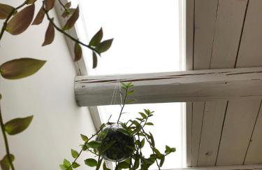 Cortile Suez - Foto 21