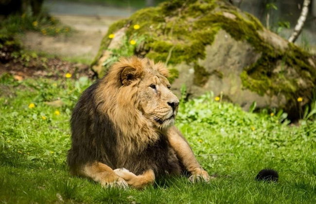 Ostravinka - Boutique Apartment - Foto 21