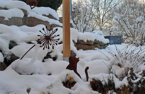 Schwarzwaldmarie - Foto 49