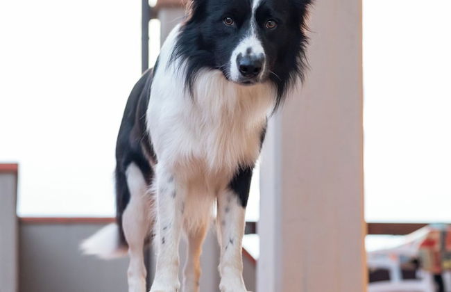 Follonica Apartments - Photo 43