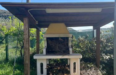 Il Belvedere - Foto 35