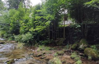 Chata Wilczka - Foto 22