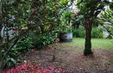 A CASA DOS AVÓS - Foto 25