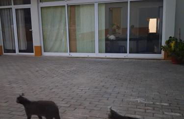 Quintal do Ti Zaquiel - Foto 8