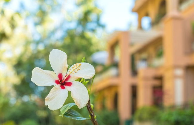 Jardines de Torreblanca | 7 Pax | Torreblanca | 2562-KAW - Foto 42