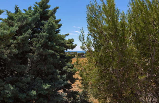 Villa Rosaria - Foto 23