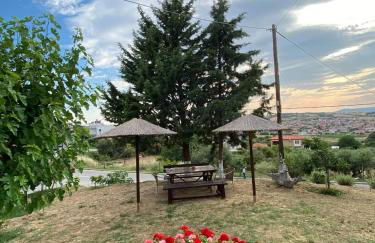 Despoina Meletiadou Nea Roda - Foto 43