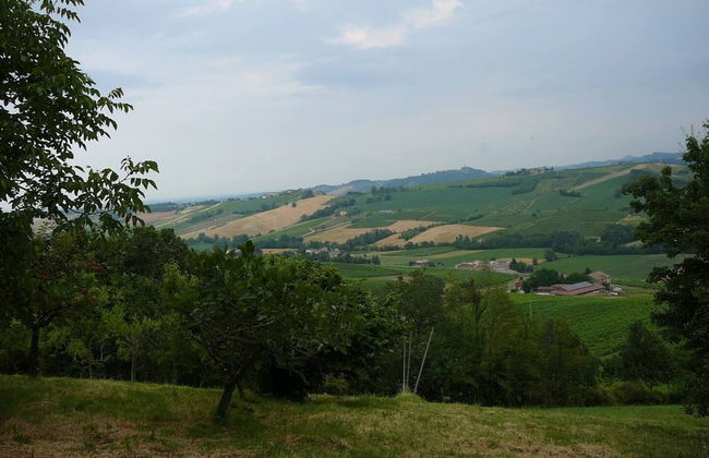 La Pergola in Castell'arquato - Foto 9