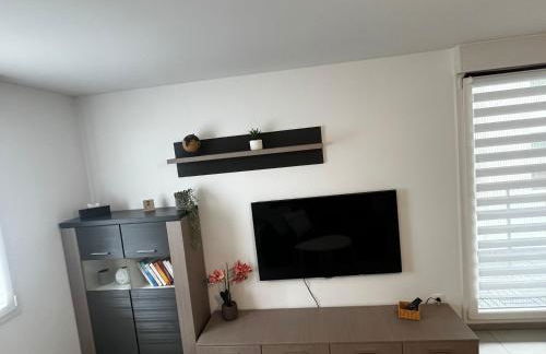 Appart Cosy 50 m2 avec balcon à Amnéville, Metz et Luxembourg - Foto 18