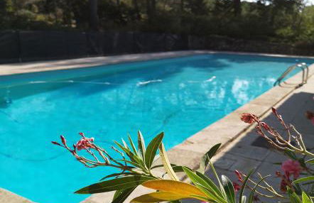 Mas Frederi - Maison avec piscine pour 10 - Foto 11