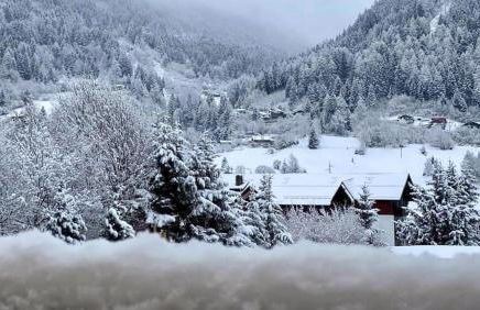 Elegance Mountain Edolo Ponte di Legno - Foto 47