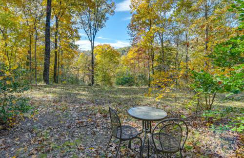 French Broad River Access Whimsical Gem with Deck - Foto 28