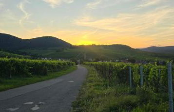 Ferienwohnung PfalzRide - Foto 11
