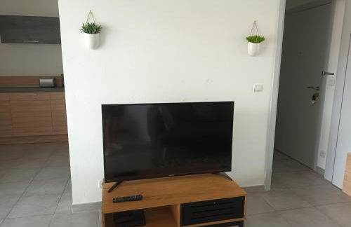 Superbe appartement et Parking proche du Centre du Monde - Foto 10