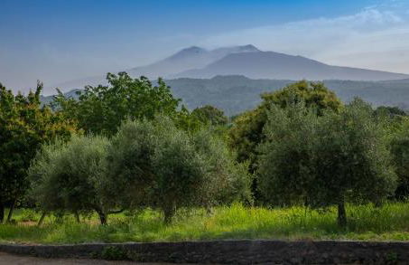 Villa Capogrecale - piscina riscaldata - Foto 32