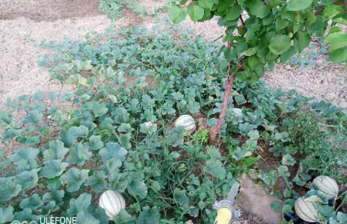 Agriturismo a Canonica - Foto 14