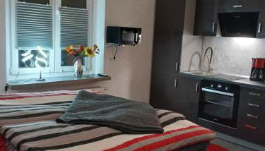 Gemütliches Appartement im alten Forstamt - Foto 5