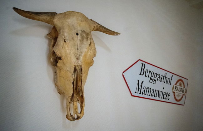 Ferienwohnungen Mamauwiese - Foto 66