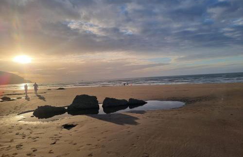 Cosy Cottage overlooking the Teifi Gorge - Foto 9