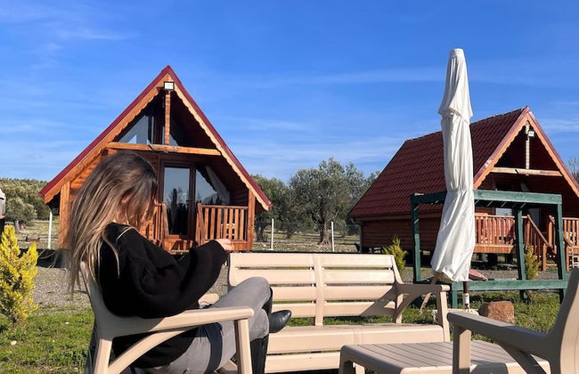 Ayvalık Sural Çiftliği Since 1899 - Foto 29