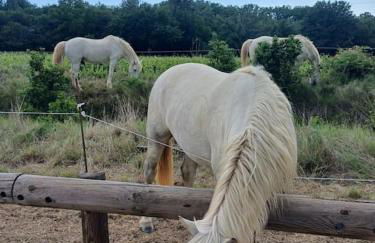 Studio mi casa es su casa - Photo 26