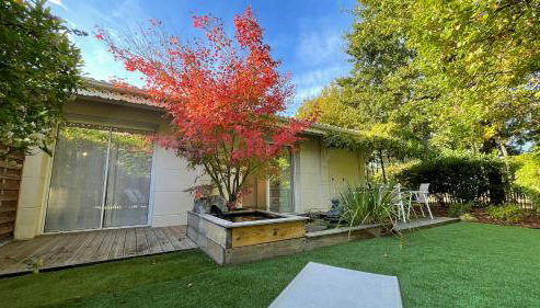 Maison Blanche - Foto 5, Garden