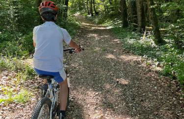 Les Chenevières - Foto 9