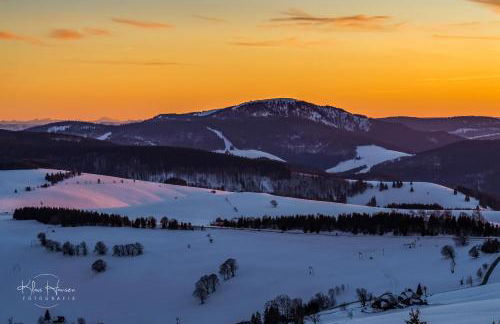 Altes Forsthaus - Fewo "Hasenhorn", mit privater Sauna, Todtnau- Feldberg - Foto 36