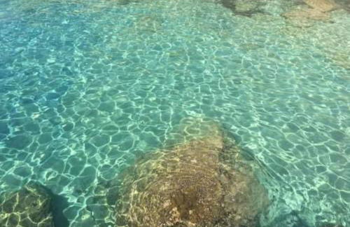 BOYZIANAS home - Foto 5