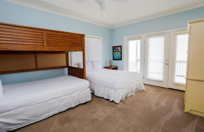 A Turtle View - Foto 3