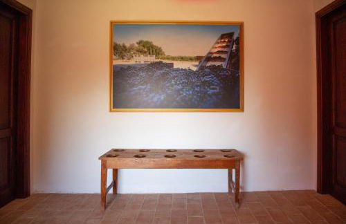 Tenuta Pianirossi - Foto 32