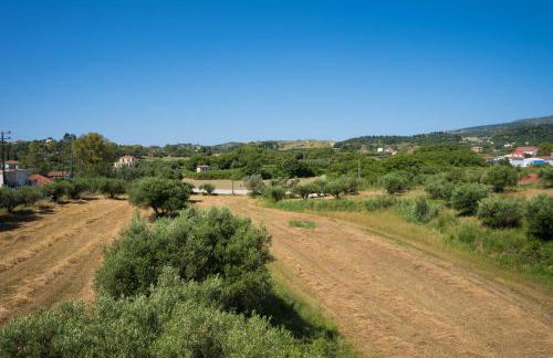 Ammousa Hotel Apartments - Foto 11