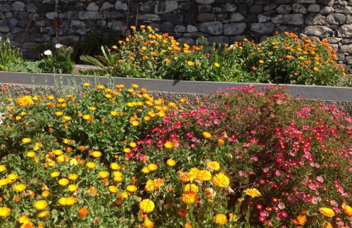 Villa Girasol - Foto 70