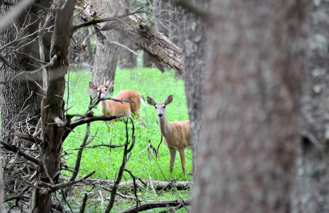 Mountain View Hideaway- A Fun Time Away! - Foto 22