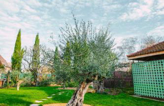 Santolina Etrusca Bed and Breakfast, Sauna, Hammam, Jacuzzi - Foto 63